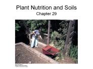 Plant Nutrition and Soils