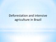 Deforestation and intensive agriculture in Brazil