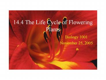 14.4 The Life Cycle of Flowering Plants