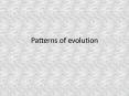 Patterns of evolution PowerPoint PPT Presentation