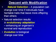 Descent with Modification