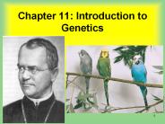Chapter 11: Introduction to Genetics