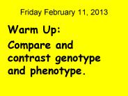 Friday February 11, 2013