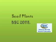 Seed%20Plants