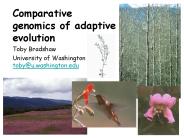 Comparative genomics of adaptive evolution