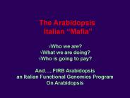 Nessun titolo diapositiva