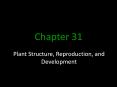 Plant Structure, Reproduction, and Development PowerPoint PPT Presentation