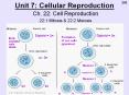 Unit 7: Cellular Reproduction PowerPoint PPT Presentation