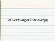 Convert sugar into energy