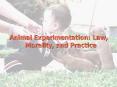 Animal%20Experimentation:%20Law,%20Morality,%20and%20Practice PowerPoint PPT Presentation