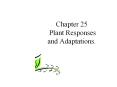 Chapter 25 Plant Responses and Adaptations. PowerPoint PPT Presentation