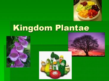 Kingdom Plantae