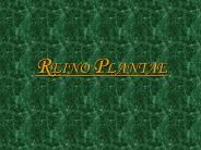 Reino Plantae