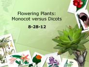 Monocot versus Dicots