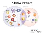 Adaptive immunity
