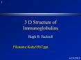 3%20D%20Structure%20of%20Immunoglobulins PowerPoint PPT Presentation