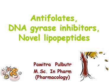 Antifolates, DNA gyrase inhibitors, Novel lipopeptides