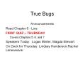 True Bugs PowerPoint PPT Presentation