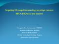 Genomic approaches to enhance sensitivity to double-strand DNA break-inducing agents in epithelial ovarian cancer PowerPoint PPT Presentation