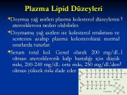 Plazma Lipid D