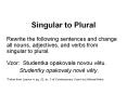 Singular to Plural PowerPoint PPT Presentation