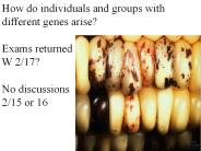 How do individuals and groups with different genes arise?