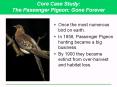 Core Case Study: The Passenger Pigeon: Gone Forever PowerPoint PPT Presentation
