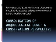 CONSOLIDATION OF ARQUEOLOGICAL BONE: A CONSERVATION PERSPECTIVE