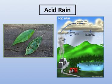 Acid Rain