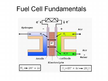 Fuel Cell Fundamentals