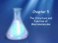 The Structure and Function of Macromolecules PowerPoint PPT Presentation