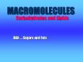 MACROMOLECULES PowerPoint PPT Presentation