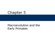 Macroevolution%20and%20the%20Early%20Primates