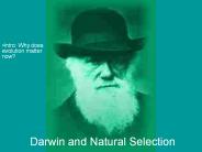 Darwin and Natural Selection