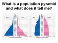 What is a population pyramid and what does it tell me? PowerPoint PPT Presentation