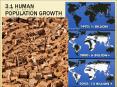 3.1 Human population growth PowerPoint PPT Presentation