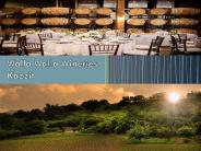 Walla Walla Wineries of Kazzit