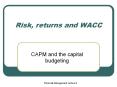Risk, returns and WACC PowerPoint PPT Presentation