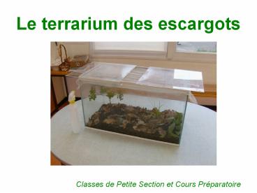 Le%20terrarium%20des%20escargots