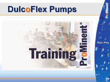 DulcoFlex%20Pumps