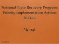 National Tiger Recovery Program: Priority Implementation Actions 2013-14 PowerPoint PPT Presentation