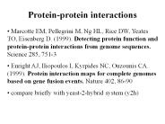 Protein-protein interactions