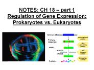 NOTES: CH 18 