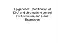 Epigenetics: Modification of DNA and chromatin to control DNA structure and Gene Expression PowerPoint PPT Presentation