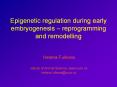 Epigenetic%20regulation%20during%20early%20embryogenesis%20 PowerPoint PPT Presentation