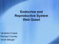 Endocrine and Reproductive System Web Quest PowerPoint PPT Presentation