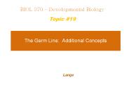 The Germ Line: Additional Concepts