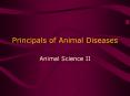 Principals of Animal Diseases PowerPoint PPT Presentation
