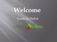 Dubai Affordable Digital Marketing Agency PowerPoint PPT Presentation