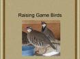 Raising Game Birds PowerPoint PPT Presentation